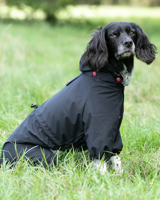 Hugo and Hudson Protective Dog Overalls, Black